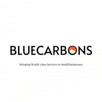 BLUECARBONS DIGITAL AGENCY's profile picture