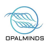 Opalminds IT Solutions Private Limited's profile picture