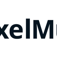 PixelMux's profile picture
