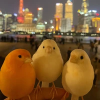 Mengyuan Liu's picture