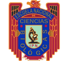 Escuela Nacional de Ciencias Biológicas (IPN)'s profile picture