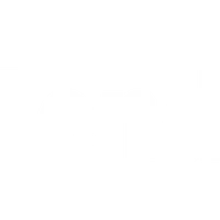 iFender's profile picture