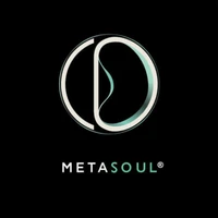 MetaSoul INC's profile picture