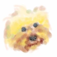 Emma Chen's profile picture