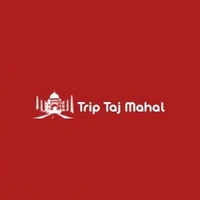 Trip Taj Mahal's picture