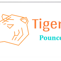 Tigerstride Software Consulting's profile picture