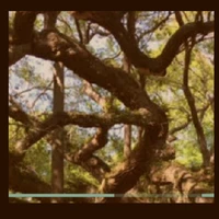 jake t's profile picture