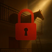 431Networks's profile picture