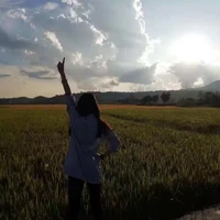 Jingyi's profile picture