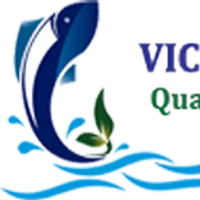 Victoria Treasures Limited's profile picture