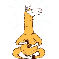 Dalai LLama LLP's profile picture
