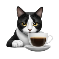 Verena Praher's profile picture