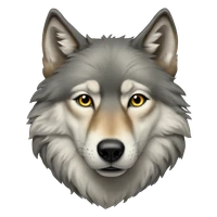 Davron Erkinov's profile picture
