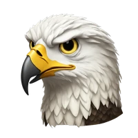 Maroua Oukrid's profile picture