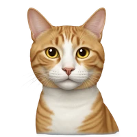 Tovar's profile picture