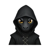 Dominik Janků's profile picture