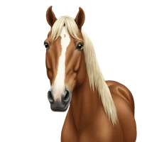 KazumaOhno's profile picture