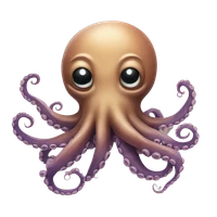 Radek Tomasek's profile picture