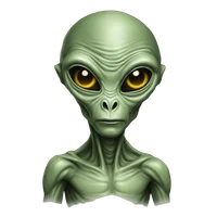 Elena Nesterova's profile picture