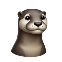 carson chen's profile picture