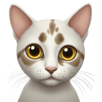 kimjunghye's profile picture