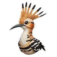 Eli Moise's profile picture