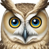 Florian R.'s profile picture