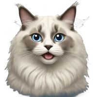 Dominic Biela's profile picture