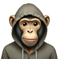Tomás Cárcamo's profile picture