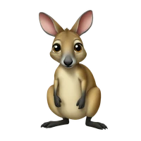 guizhengke's profile picture