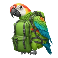 Alessandro's profile picture