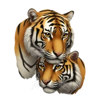 xumin's profile picture