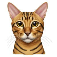 Emilie Boissady's profile picture