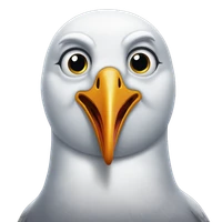 Sisi Li's profile picture