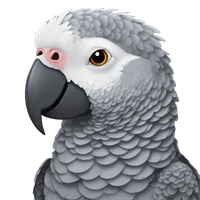 Patrik's profile picture