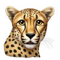 Kush Jain's profile picture