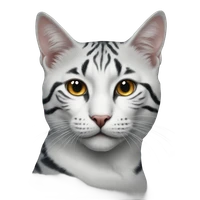 Tianci Wong's profile picture