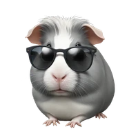 GP WANG's profile picture