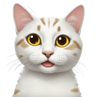 zjs's profile picture