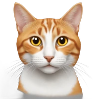 paula viveros's profile picture