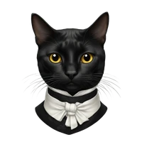 Yumo Yao's profile picture
