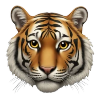 dinglaiping's profile picture