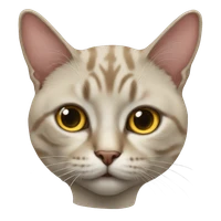 Cedeno's profile picture