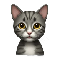 Kucuk's profile picture