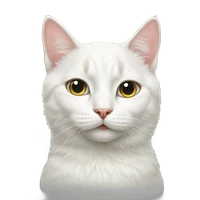 Mathew Han's profile picture