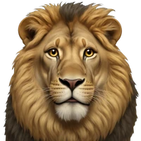 Carbajal's profile picture
