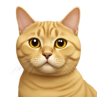Zachary  Zhang's profile picture