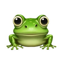 Jędrzej's profile picture