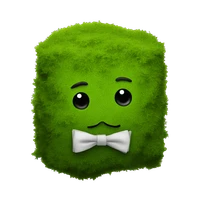 Noah Moss's profile picture