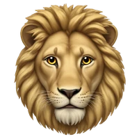 Itzhak Meyuhas's profile picture